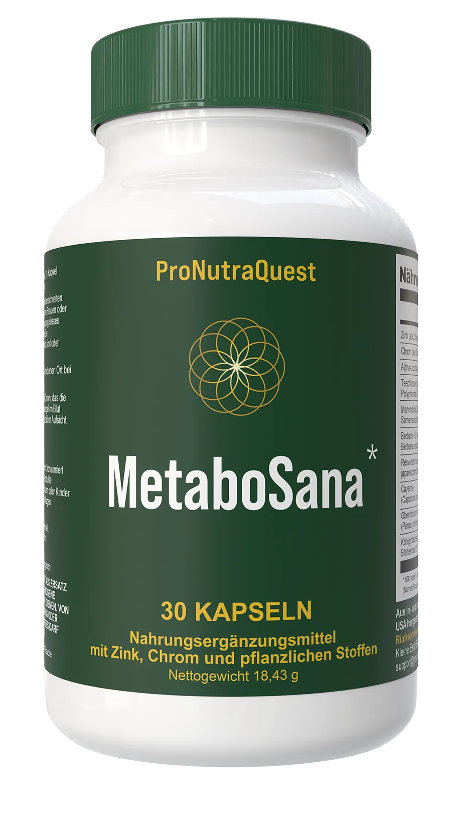 How Does  MetaboSana  work ?
